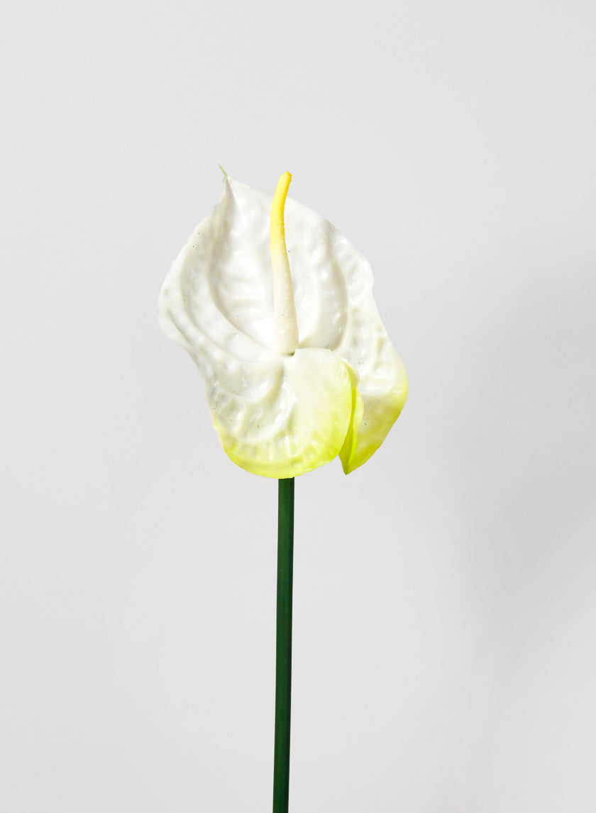 27in Long Anthurium Spray, White Decor Jamali-garden