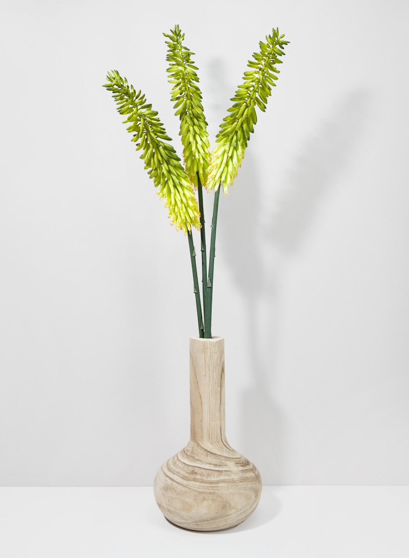 34in Long Cape Aloe Flower, Green Decor Jamali-garden