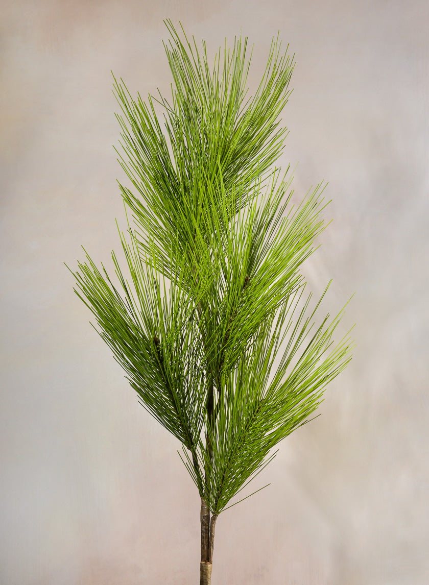 37in Long Light Green Eastern White Pine Pick Decor Jamali-garden