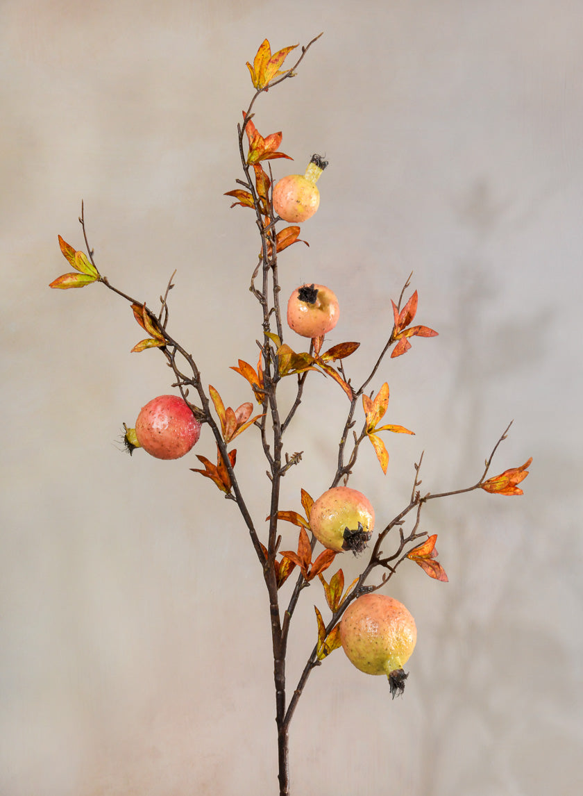 38in Long Early Fall Young Pomegranate Branch Decor Jamali-garden