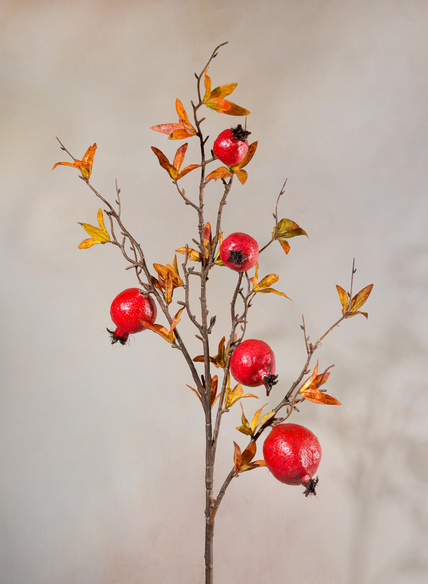 38in Long Late Fall Young Pomegranate Branch Decor Jamali-garden
