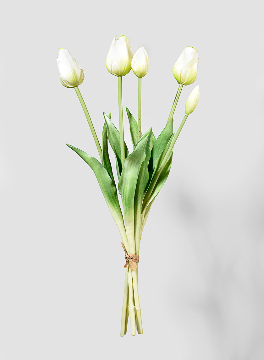 19in Long Cream Tulip Bunch Decor Jamali-garden