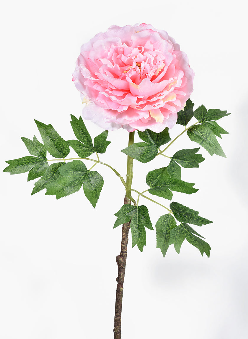26in Long Pink Peony Stem Decor Jamali-garden