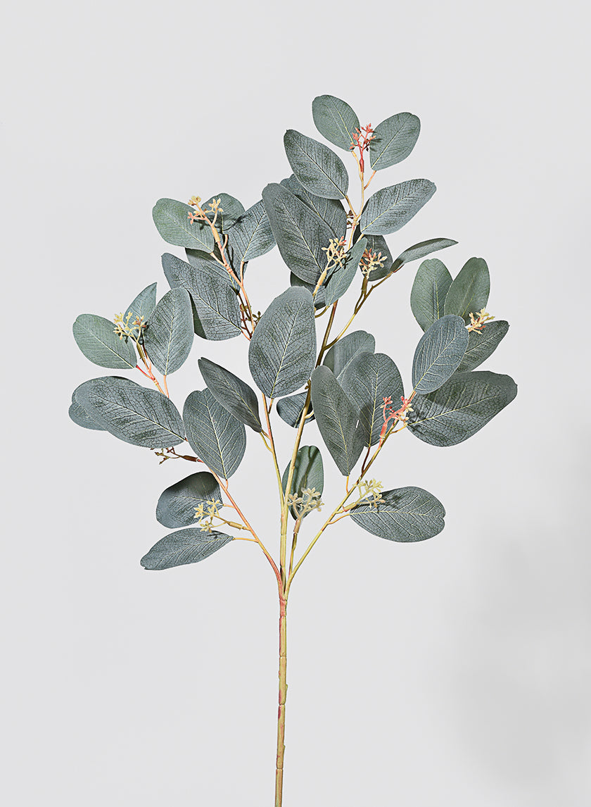 30in Long Green Seeded Eucalyptus Pick Decor Jamali-garden