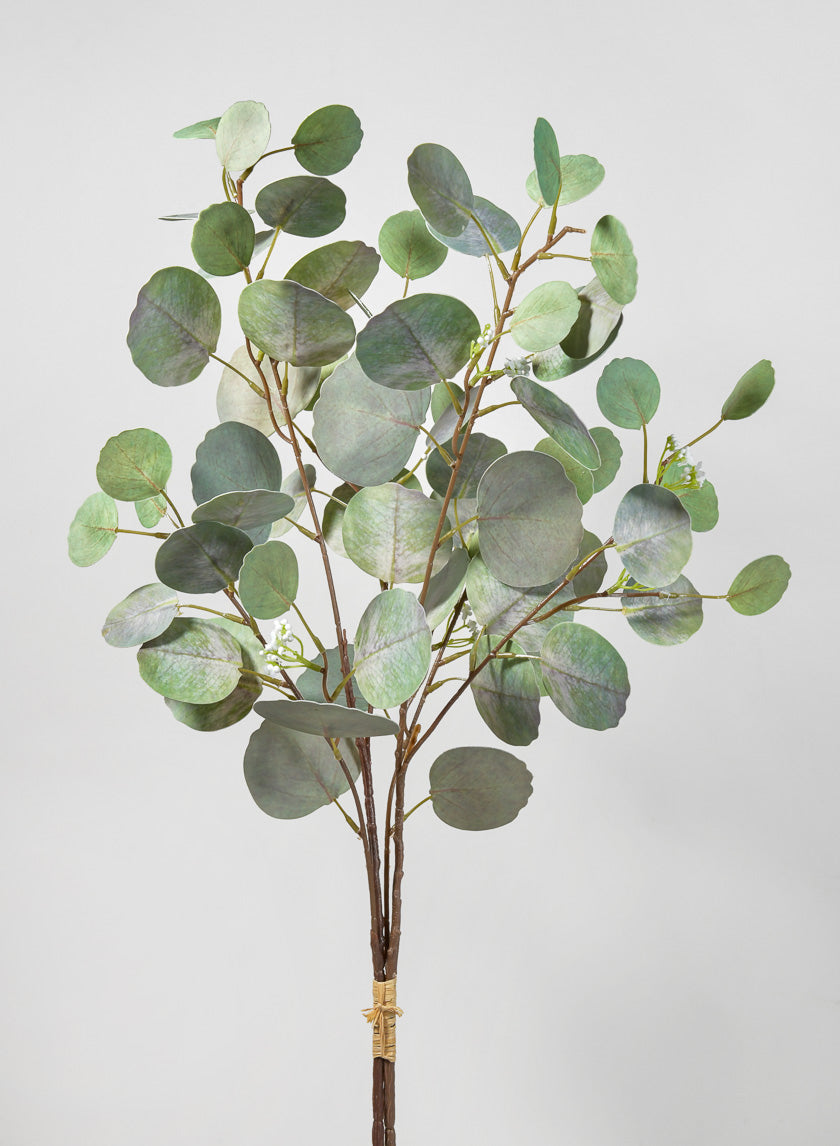 32in Long Silver Dollar Eucalyptus Pick Decor Jamali-garden
