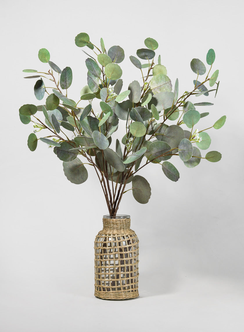 32in Long Silver Dollar Eucalyptus Pick Decor Jamali-garden