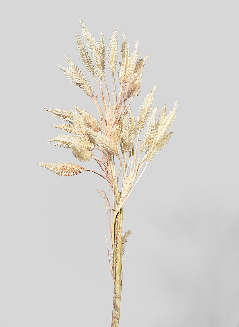 25in Tall Bunny Tail Grass Branch Decor Jamali-garden