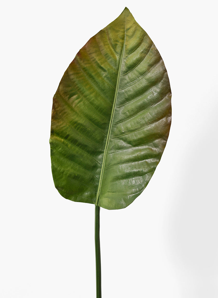 34in Long Paradise Leaf Decor Jamali-garden