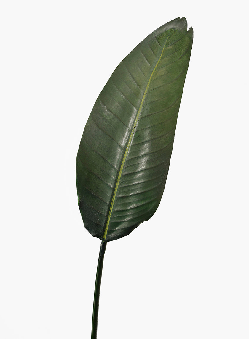 45in Long Paradise Leaf Decor Jamali-garden