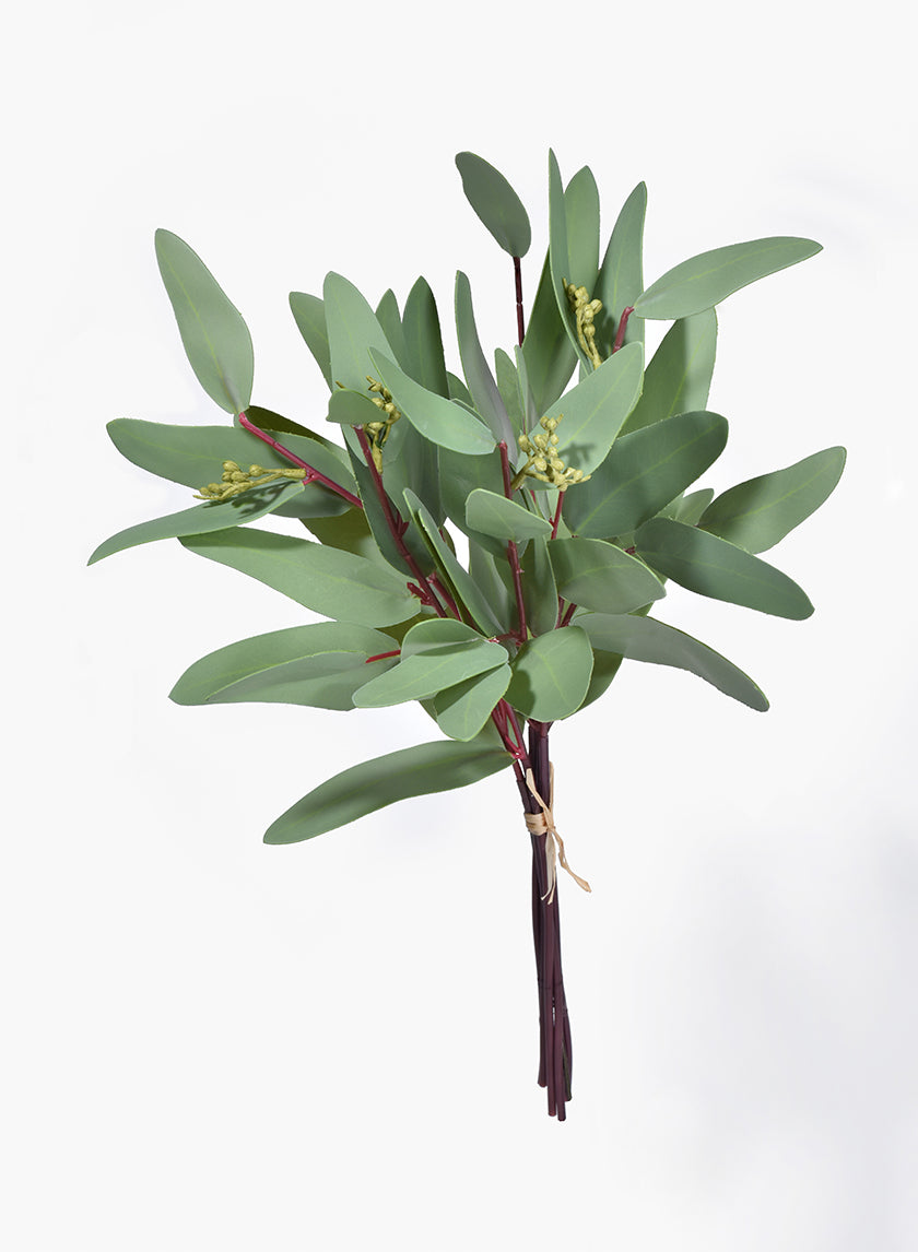 14in Long Seeded Eucalyptus Bouquet Decor Jamali-garden