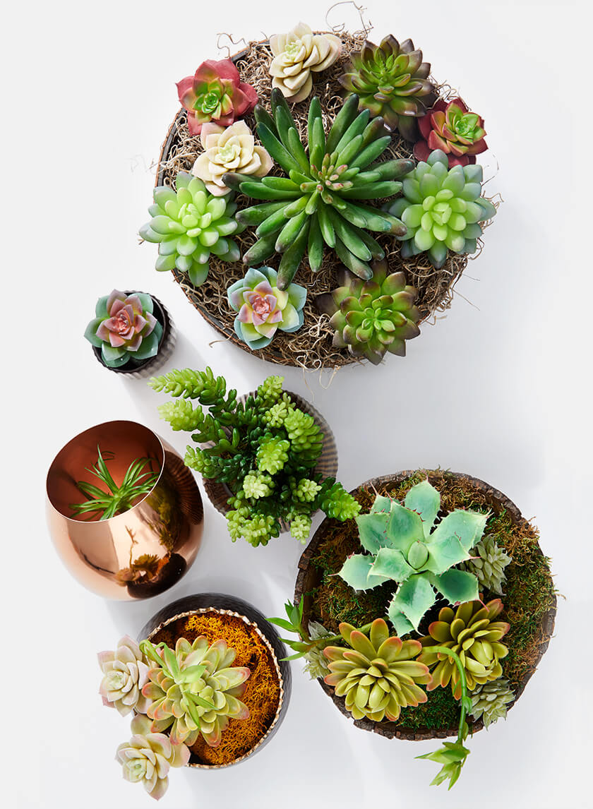 5 1/2in Long Star Cactus Pick Decor Jamali-garden