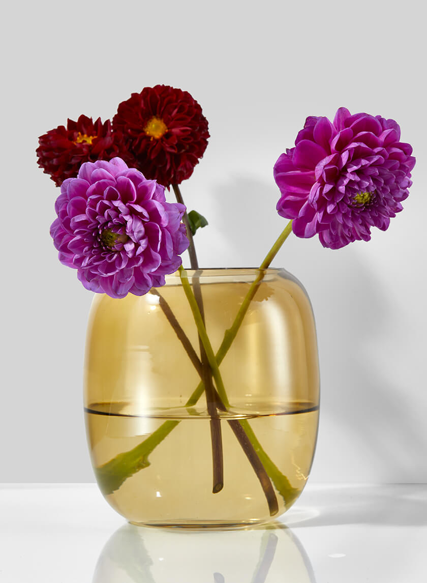 5in Dark Amber Capsule Glass Vase Decor Jamali-garden