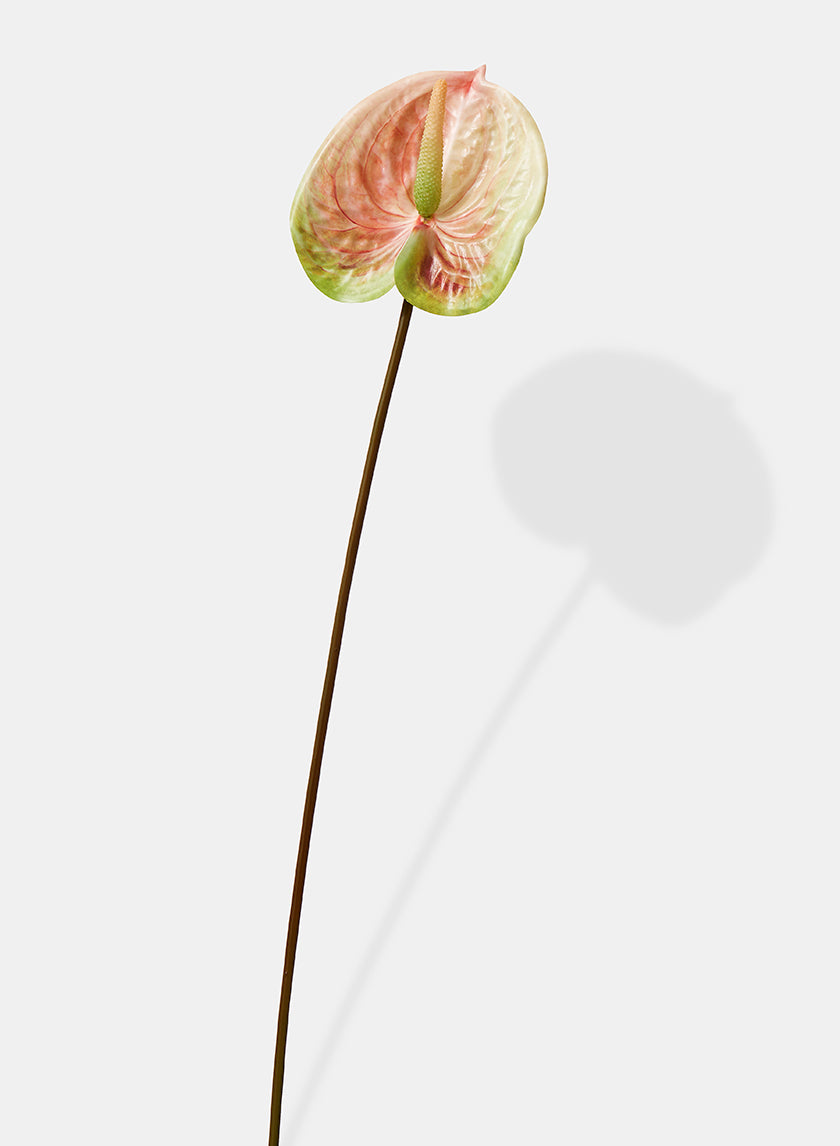 22in Long Peach &amp; Green Anthurium Spray Decor Jamali-garden