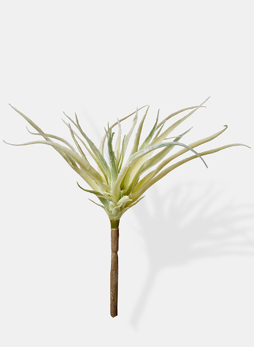 10in Long Mini Tillandsia Decor Jamali-garden