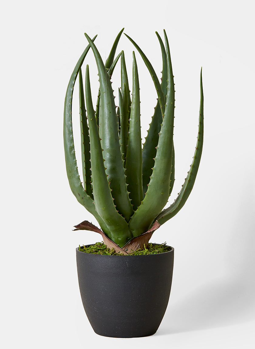 18in Long Faux Aloe Plant In Pot Decor Jamali-garden
