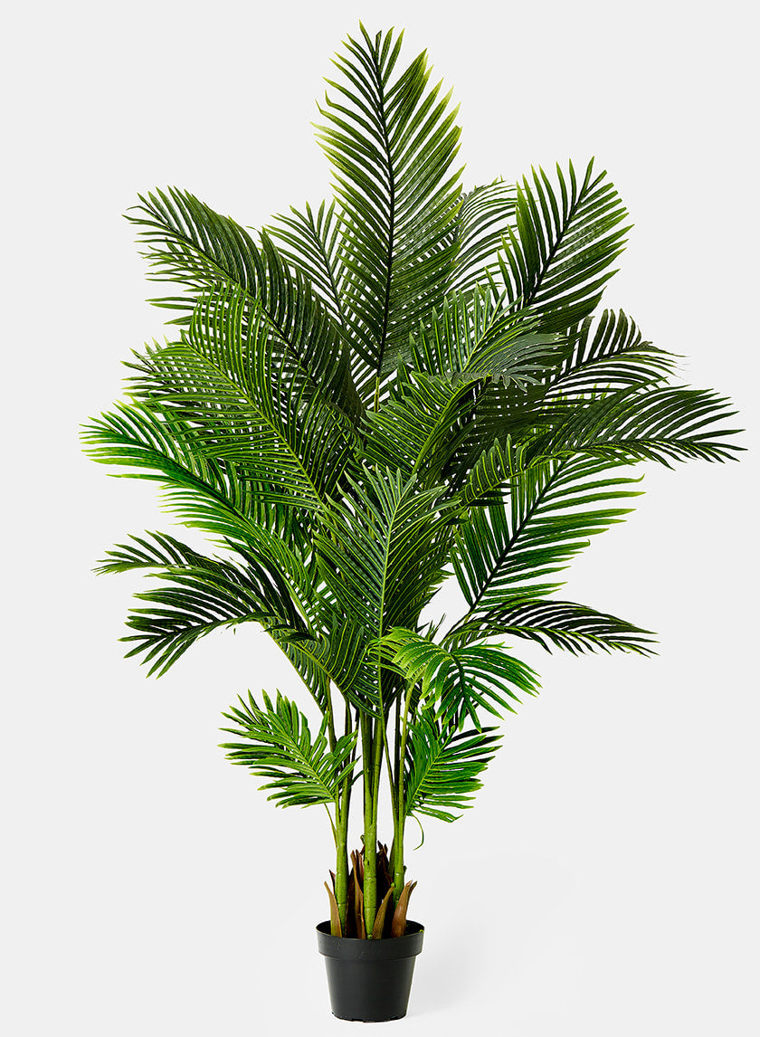 67in Tall Areca Butterfly Palm Decor Jamali-garden