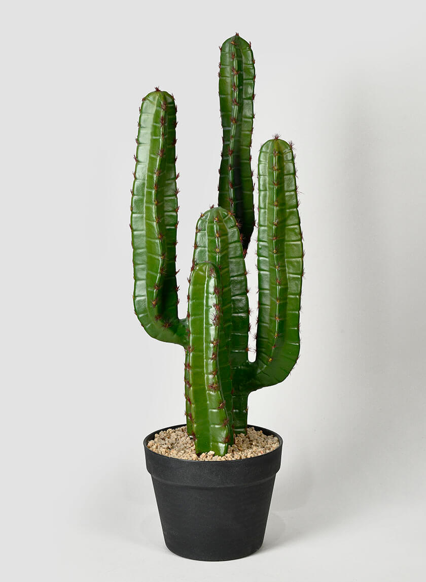 26in Tall Candelabra Cactus Plant Decor Jamali-garden