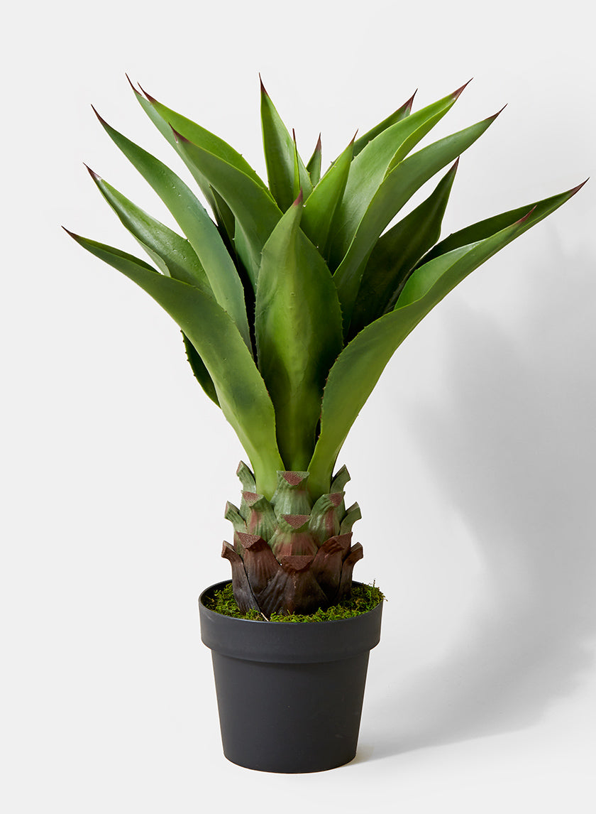 29in Tall Agave Plant Decor Jamali-garden