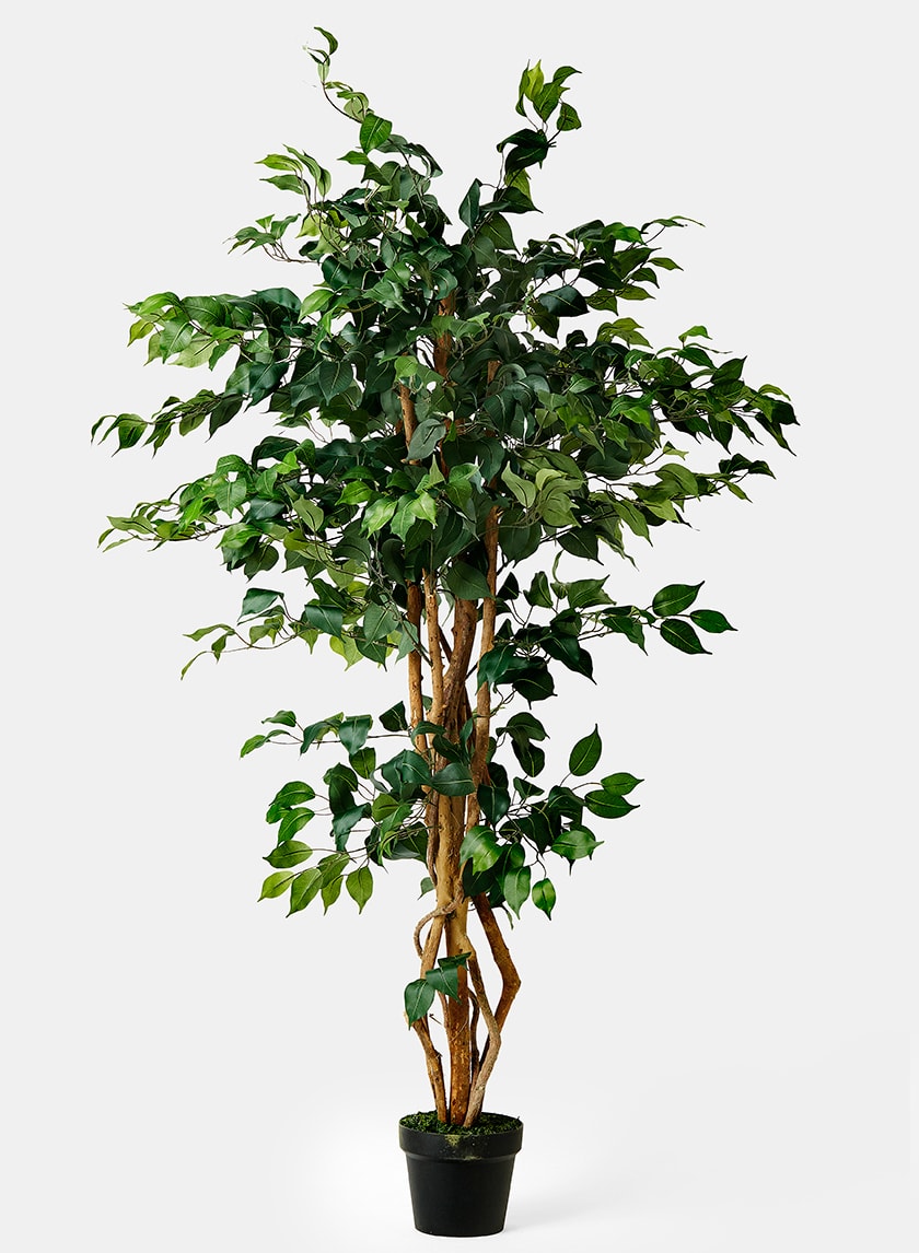 5ft Tall Artificial Ficus Tree Decor Jamali-garden
