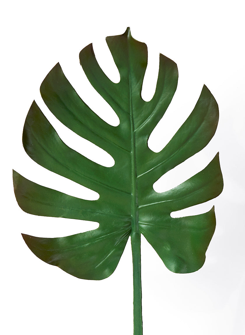 29in Long Turtle Leaf Spray Decor Jamali-garden