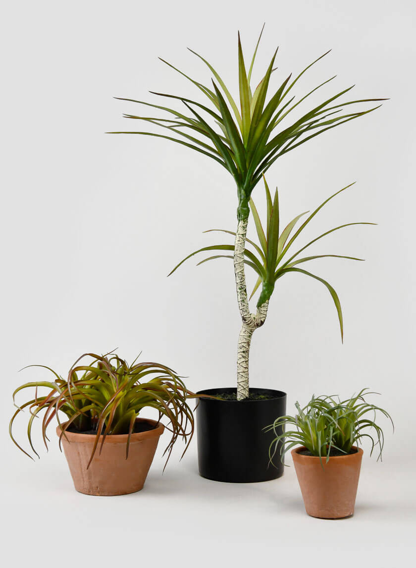 28in Tall Long Yucca Tree Decor Jamali-garden