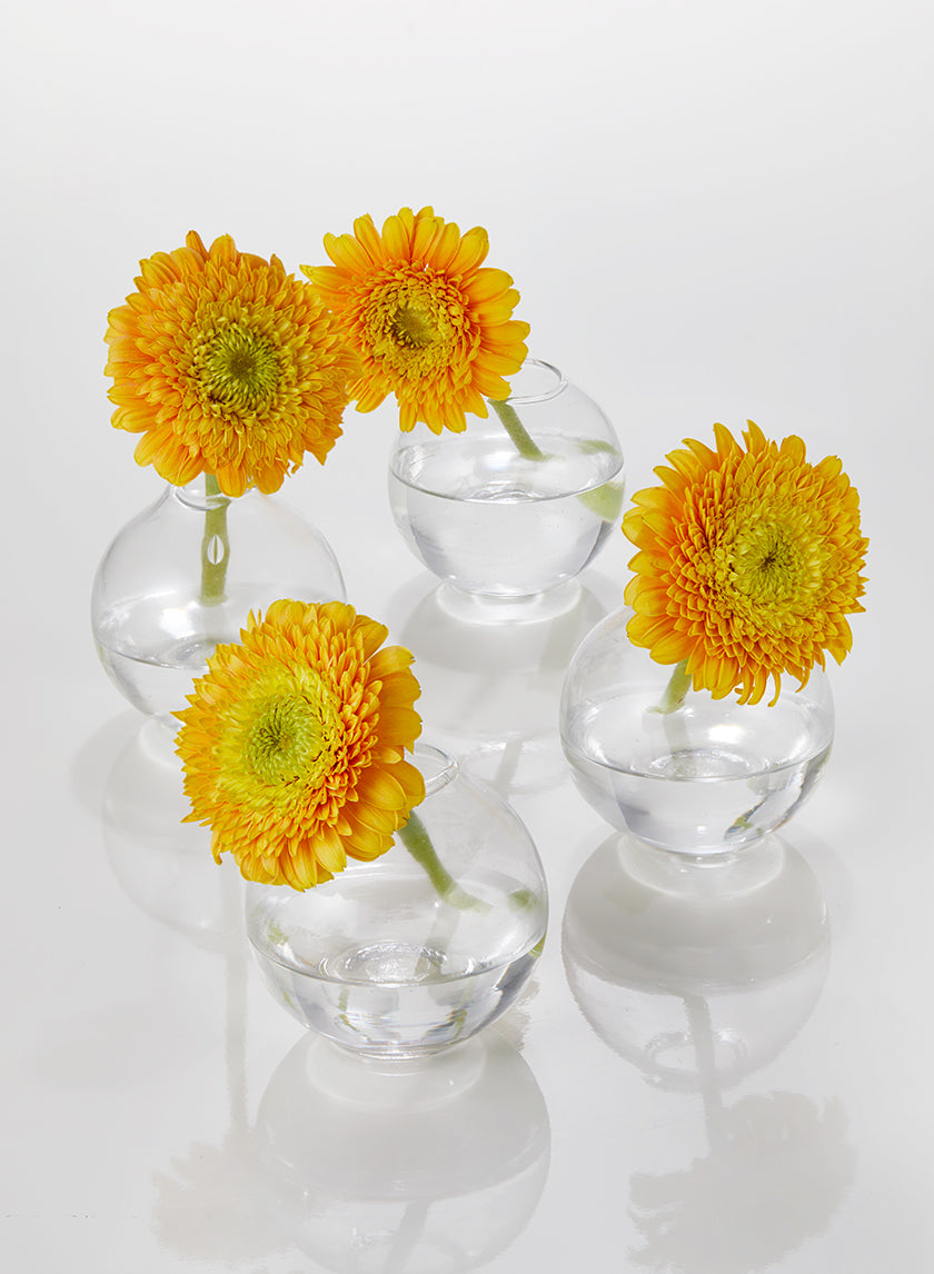 3in Wide Ball Glass Bud Vase Decor Jamali-garden
