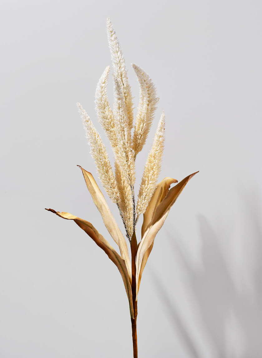 35in Long Beige Amaranth Reed Decor Jamali-garden