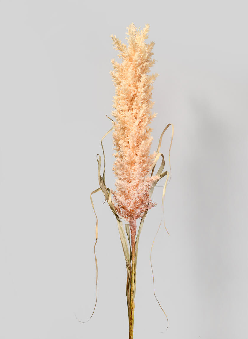 42in Long Beige Pampas Grass Reed Decor Jamali-garden