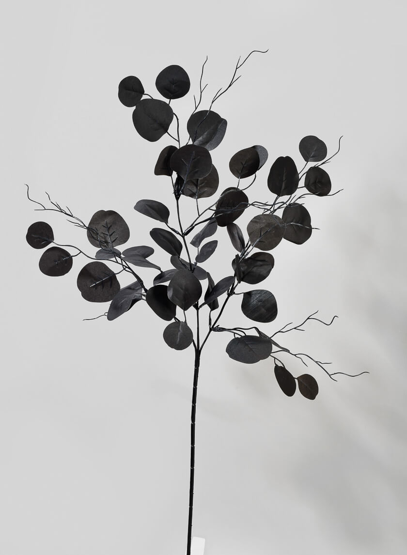 30in Long Black Eucalyptus Pick Decor Jamali-garden