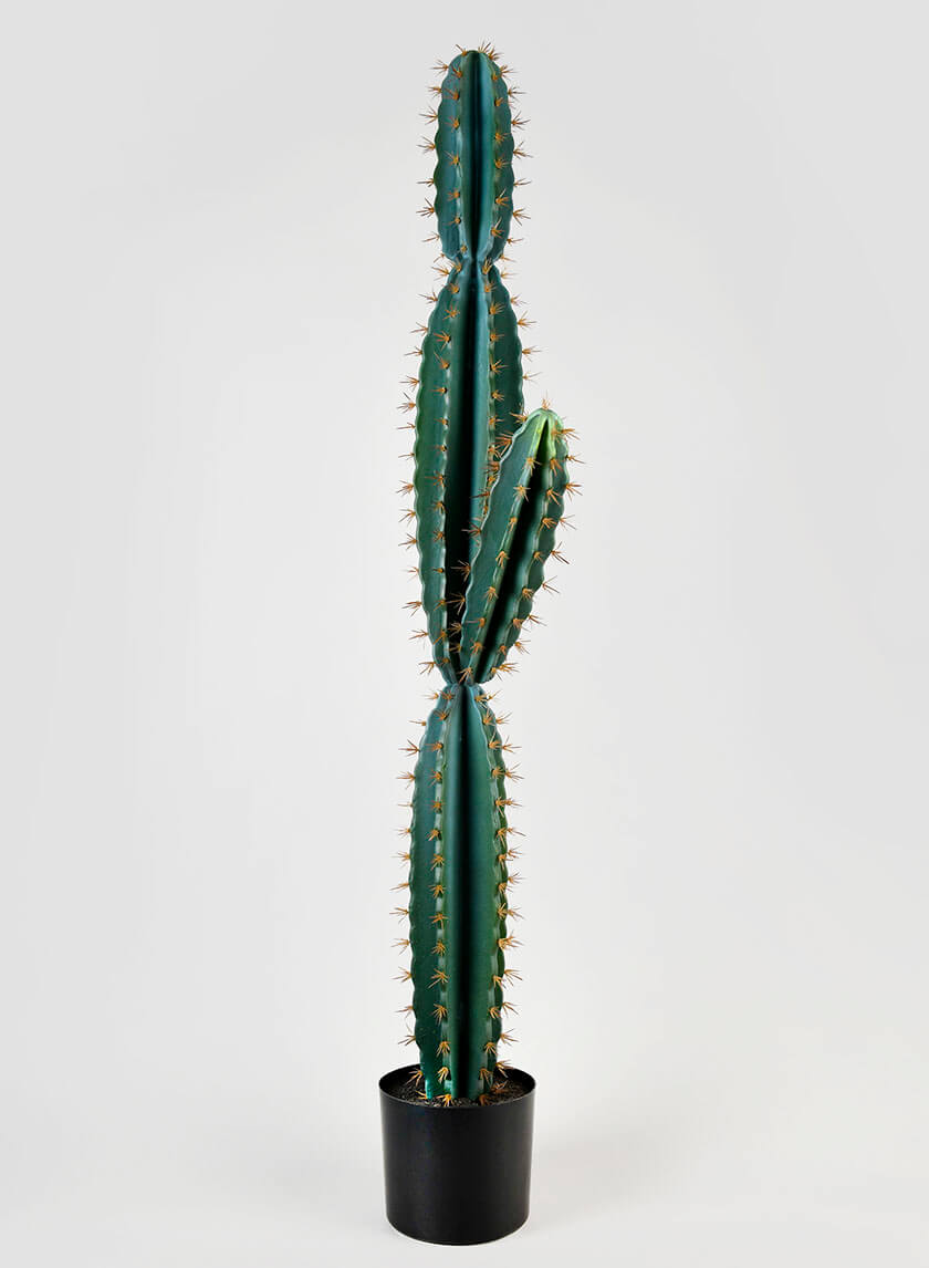 51in Tall Blue Torch Cactus Decor Jamali-garden