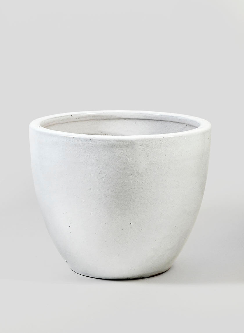 Bright White Egg Pot Decor Jamali-garden