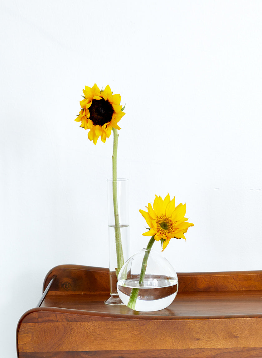 4in Wide Clear Ball Glass Vase Decor Jamali-garden