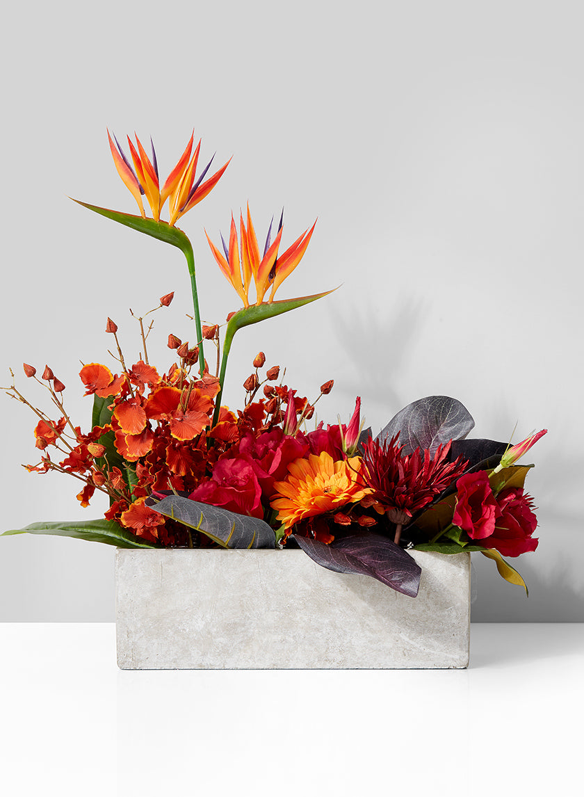12in Long Atelier Cement Flower Box Decor Jamali-garden