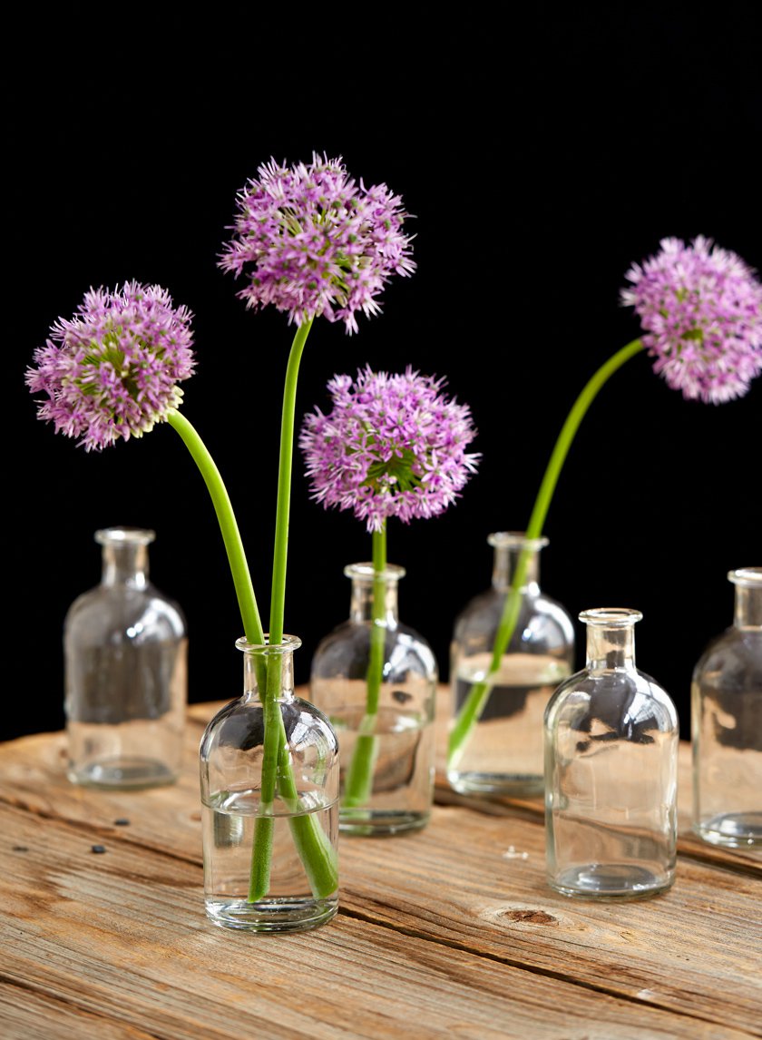 5.25in Tall Clear Medicine Bottle Bud Glass Vase Decor Jamali-garden