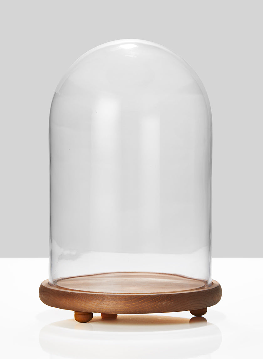 15in Tall Glass Cloche On Wood Base Decor Jamali-garden