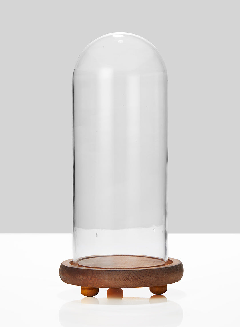 13in Tall Glass Cloche On Wood Base Decor Jamali-garden