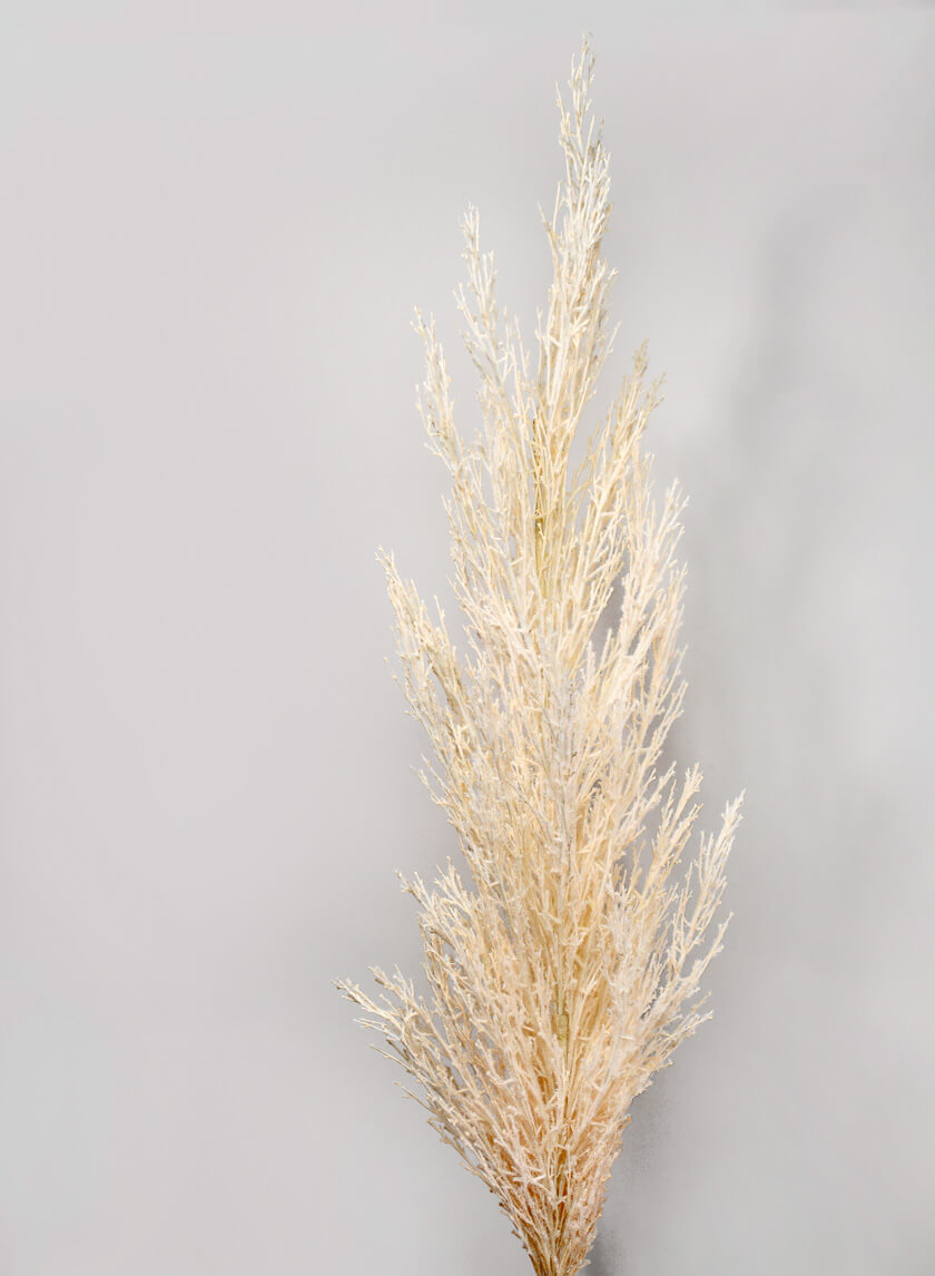 51in Long Cream Pampas Grass Reed Decor Jamali-garden