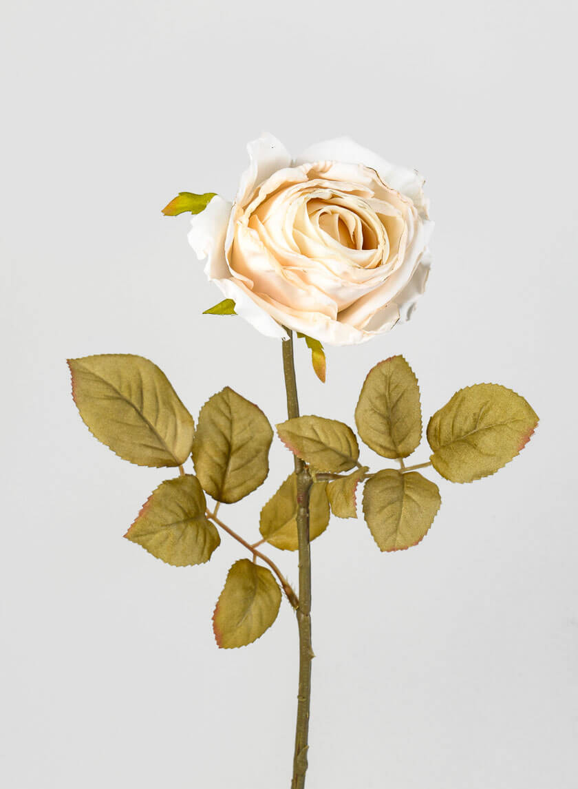 26.5in Long Cream Single Tea Rose Spray Decor Jamali-garden