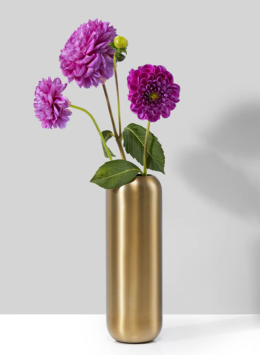 8.5in Tall Bretagne Matte Gold Steel Capsule Vas Decor Jamali-garden