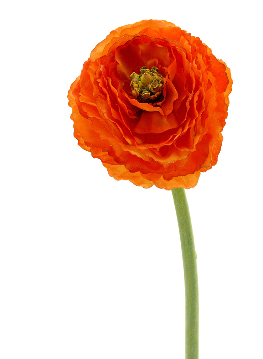 26in Long Dark Orange Ranunculus Decor Jamali-garden