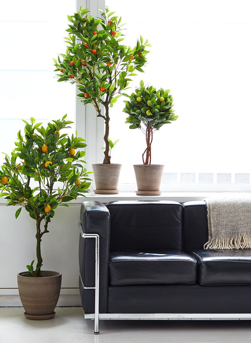 47in Tall Orange Tree Decor Jamali-garden