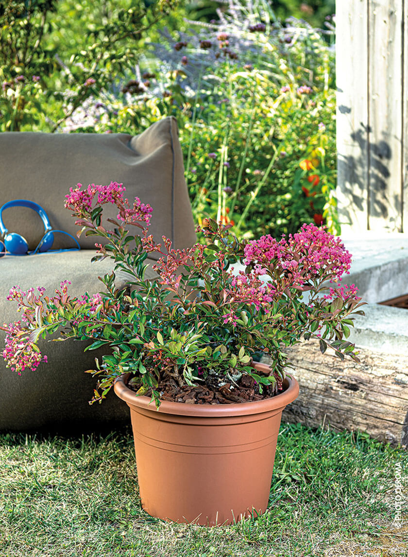 Farnese Terracotta Pots Decor Jamali-garden