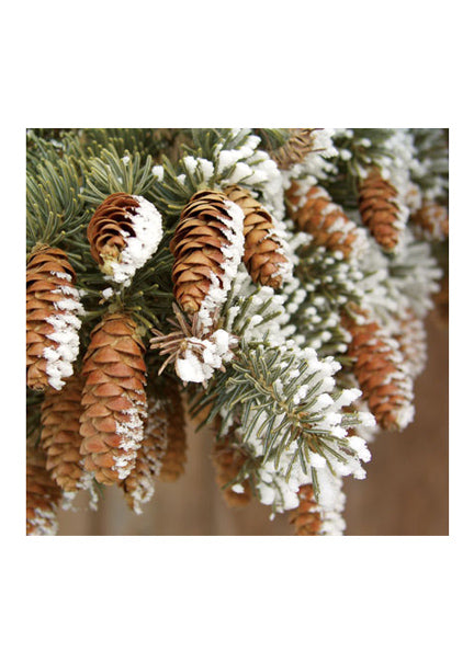 18oz Snow Blast Spray Decor Jamali-garden
