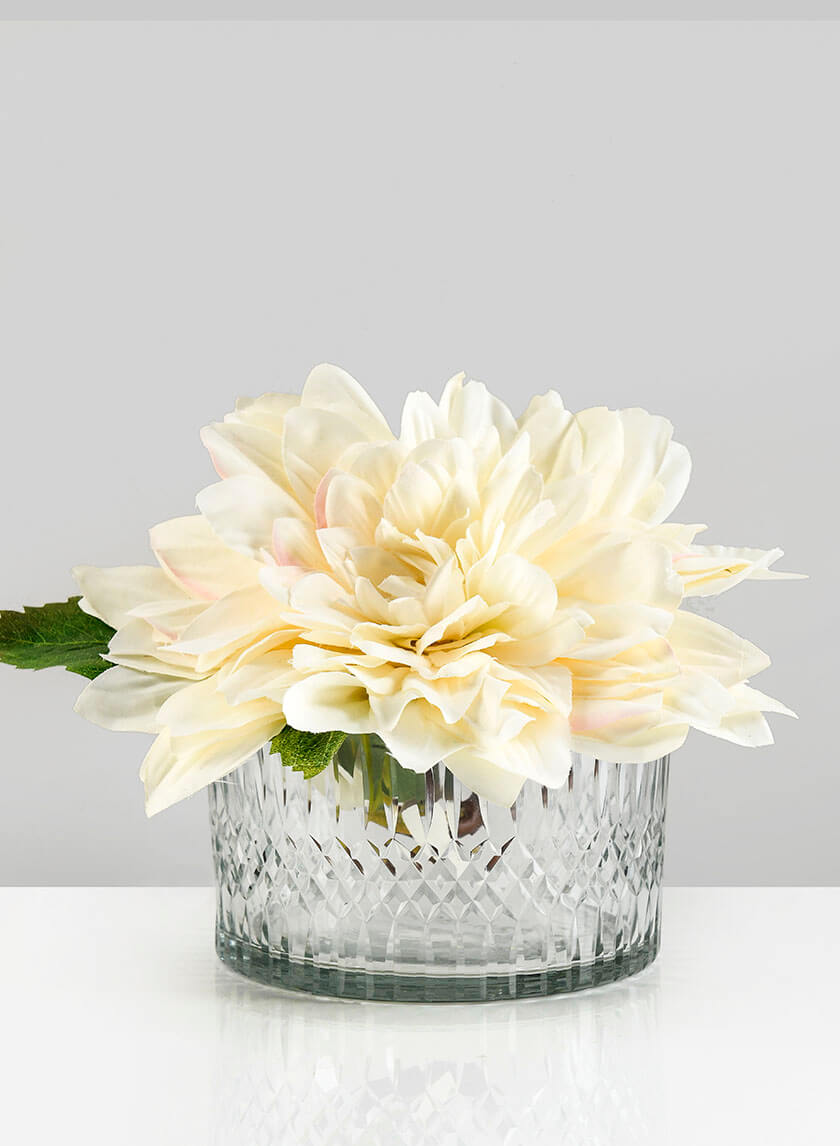 5.5in Wide Limoge Etched Low Glass Cylinder Decor Jamali-garden