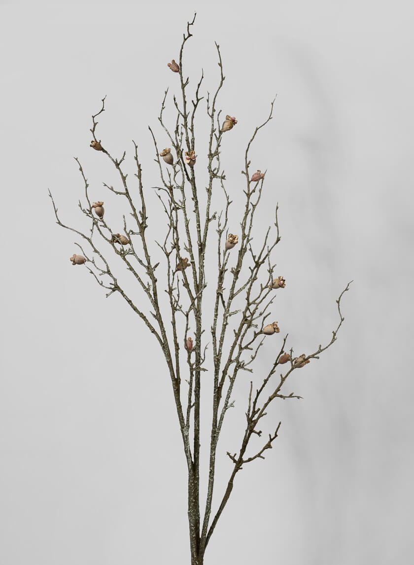 57in Long Dried Branch with Pods Decor Jamali-garden
