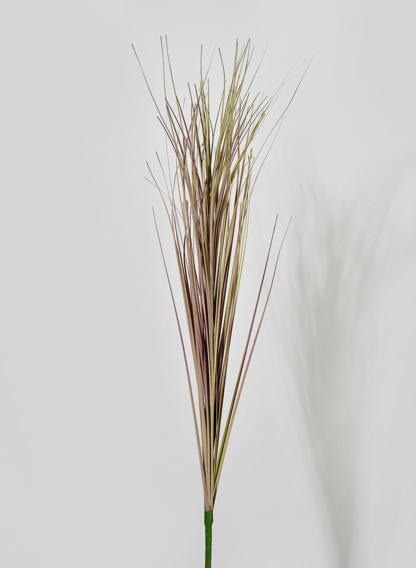 30in Long Dry Onion Grass Pick Decor Jamali-garden