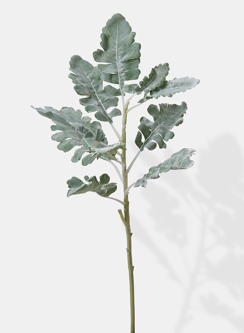 21in Long Dusty Miller Spray Decor Jamali-garden