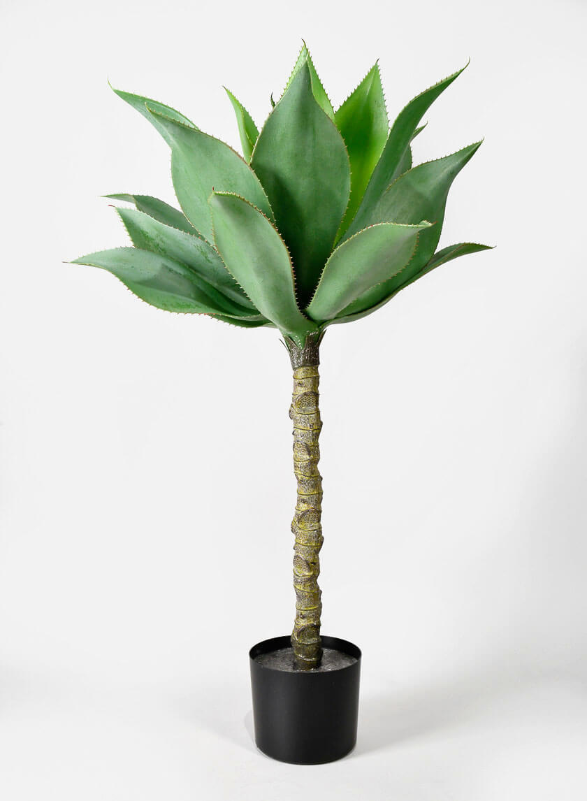 35in Tall Agave Tree Decor Jamali-garden
