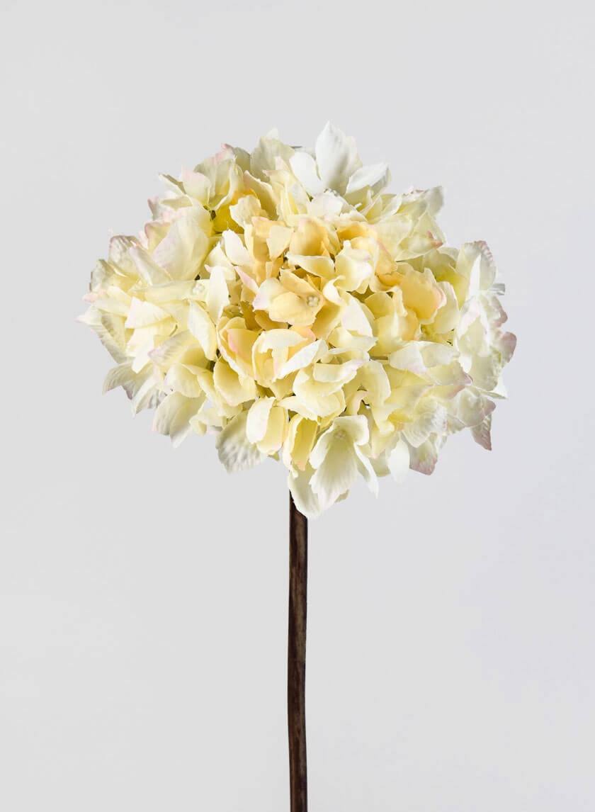 20in Long Cream Single Hydrangea Spray Decor Jamali-garden