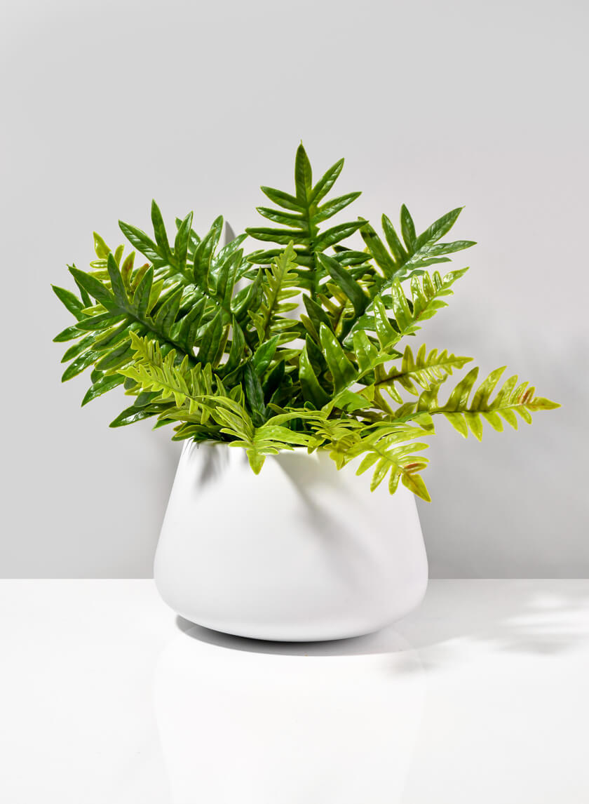 Pyxis White Fiber Stone Pot Decor Jamali-garden